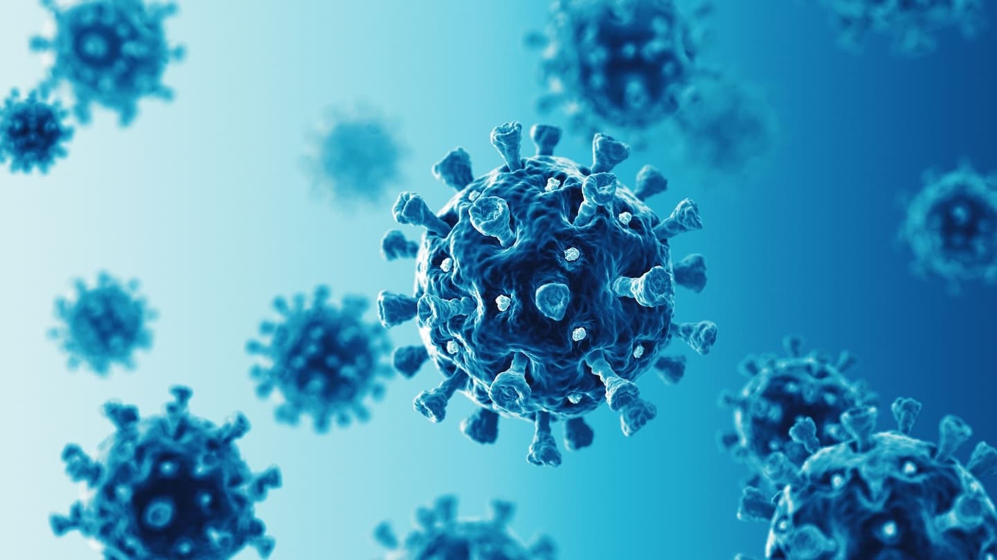 Bacteria Particles