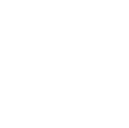 Specialized Services Icon